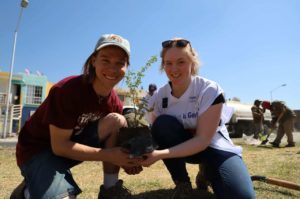 Young adults volunteering by planting trees in the Up with People program
